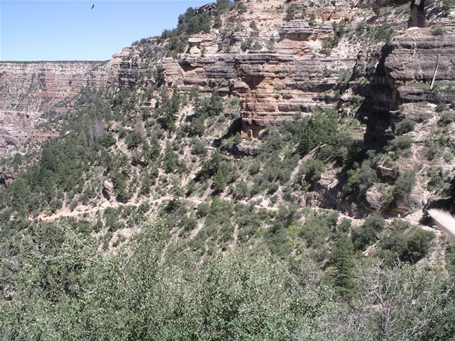 images/C-Mule Ride- returning to the Rim. (2).jpg